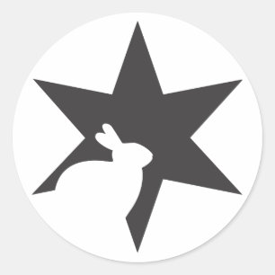 Etiqueta preta da estrela