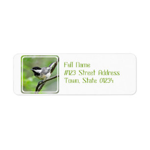 Etiqueta Preto bonito Chickadee tampado