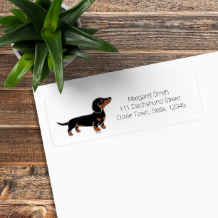 Etiqueta Preto e levantamento do Dachshund de Tan