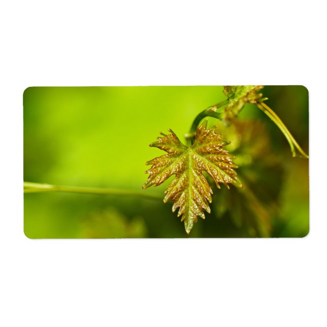 Etiqueta Primavera Vine Sair (Frente)