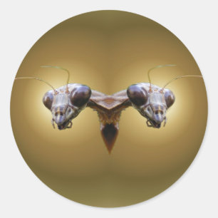 Etiqueta principal do ~ de 2 louvas-a-deus