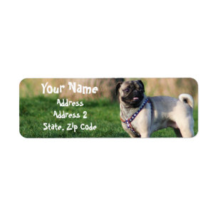 Etiqueta Pug Address Labels
