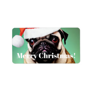 Etiqueta Pug Dog Christmas