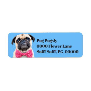 Etiqueta Pug Usando Laço Rosa