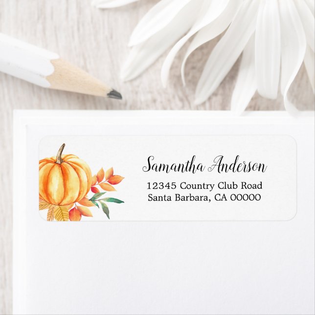 Etiqueta Pumpkin Laranja Folha de Água (Insitu)