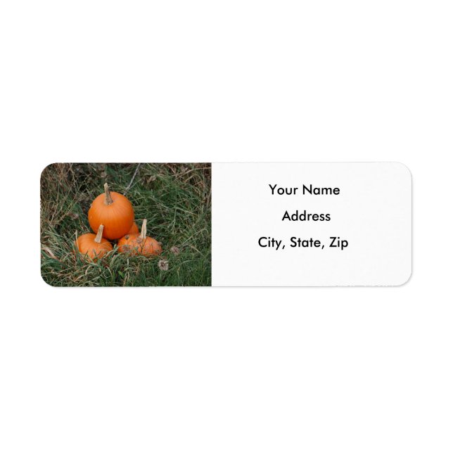 Etiqueta Pumpkins (Frente)