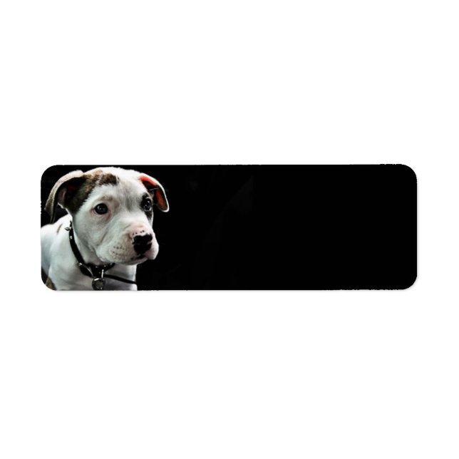 Etiqueta Puppy Pit Bull T-Bone (Frente)