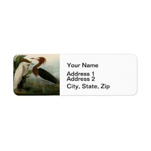Etiqueta Púrpura Heron Audubon Bird Willife Painting
