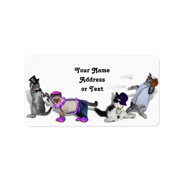 Etiqueta Quatro Gatinhos Em Jogo (Frente)