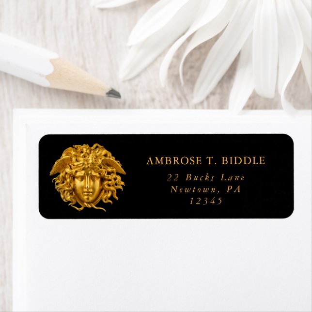 Etiqueta Quic French Fine Art Haute Couture Medusa Mask (Insitu)