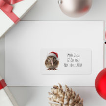 Quirky Kiwi Pássaro de Natal Cute Chapéu Vermelho