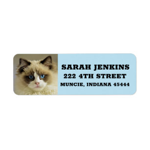Etiqueta RAGDOLL PERSIAN CAT Grandes Rótulos de Endereços d