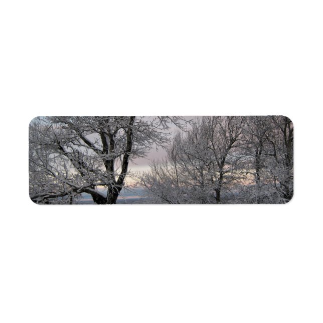 Etiqueta Ramos cobertos de neve (Frente)