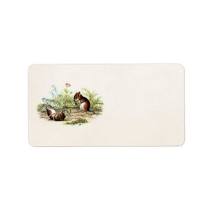 Etiqueta Ratos da ilustração do rato de colheita dos 1800