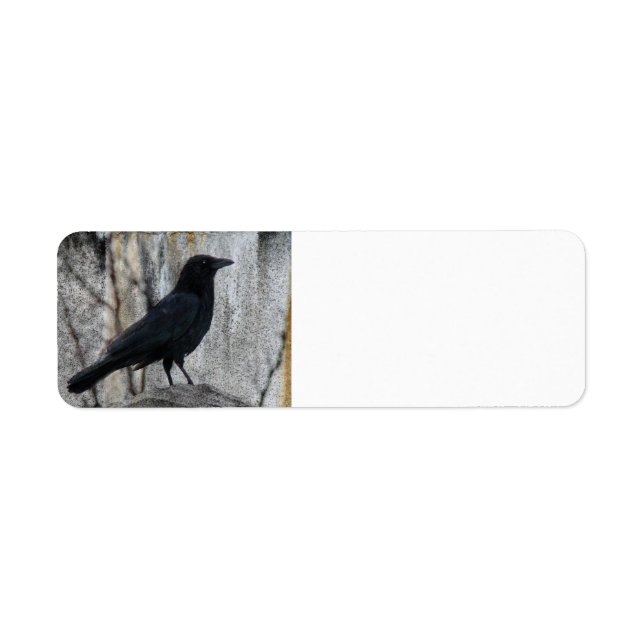 Etiqueta Raven Esperando (Frente)