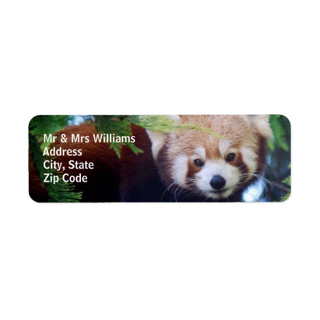 Etiqueta Red Panda (Frente)