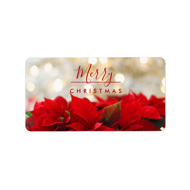 Etiqueta Red Poinsettias com Ouro Bokeh Natal (Frente)