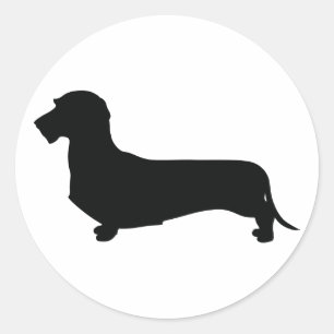 Etiqueta redonda do Dachshund do cabelo do fio