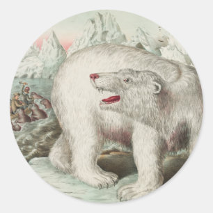 Etiqueta redonda do poster do urso polar
