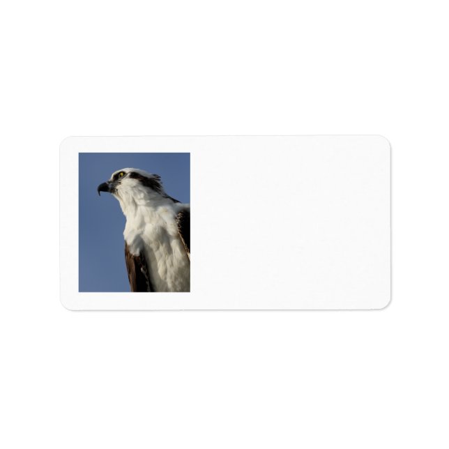 Etiqueta Retrato de uma presa (Frente)