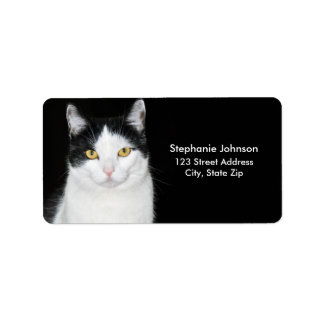 Etiqueta Retrato preto e branco do gato