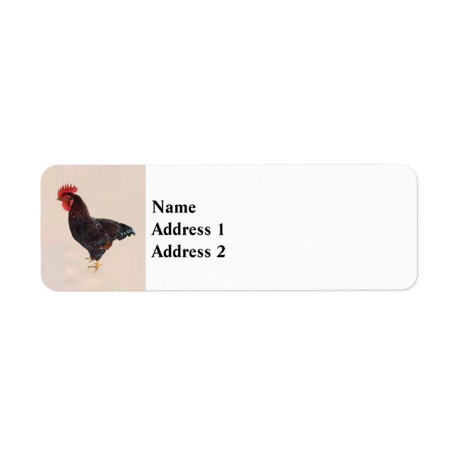 Etiqueta Rhode Island Red Rooster (Frente)