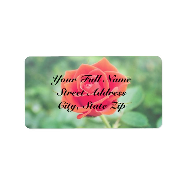 Etiqueta Rosa adorável (Frente)