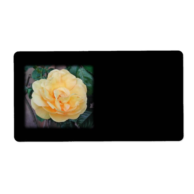 Etiqueta Rosa Amarela, sobre fundo preto. (Frente)