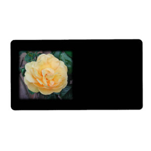 Etiqueta Rosa amarelo, no fundo preto