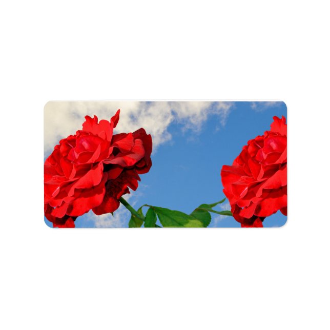 Etiqueta Rosa Don Juan com um céu azul (Frente)