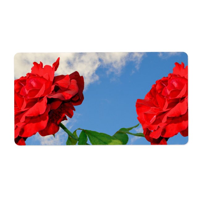 Etiqueta Rosa Don Juan com um céu azul (Frente)