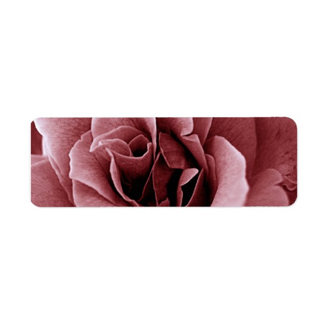Etiqueta Rosa Flor Monocromática em Close Up (Frente)