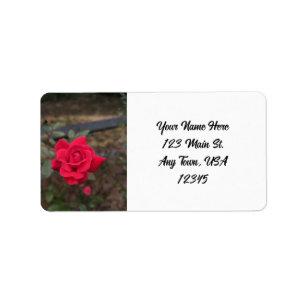 Etiqueta Rosa vermelha