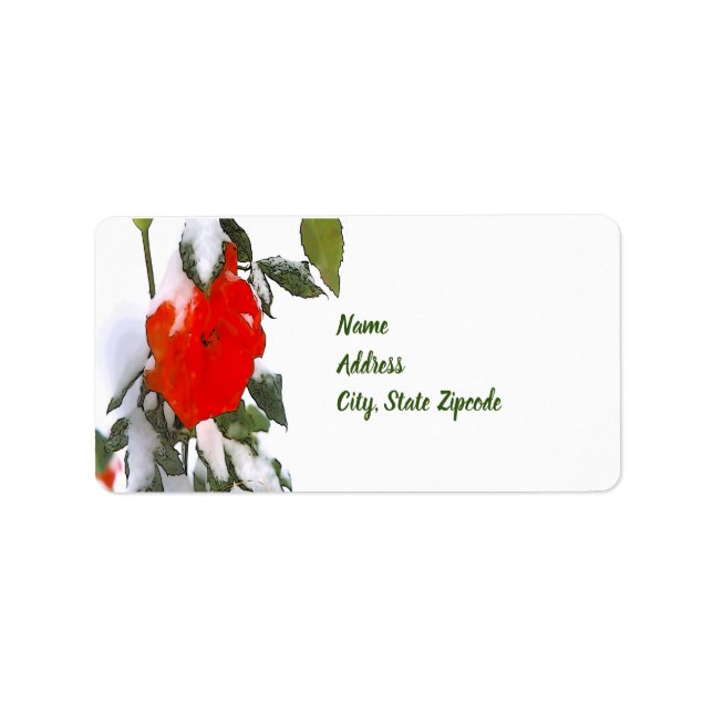 Etiqueta Rosa vermelha na neve (Frente)