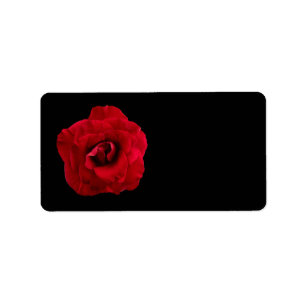 Etiqueta Rosa vermelha no preto - rosas das flores
