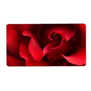 Etiqueta Rosa vermelha - os rosas personalizaram o modelo