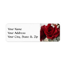 Rosa vermelha vermelha