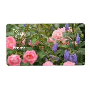 Etiqueta Rosas cor-de-rosa num jardim Rosa