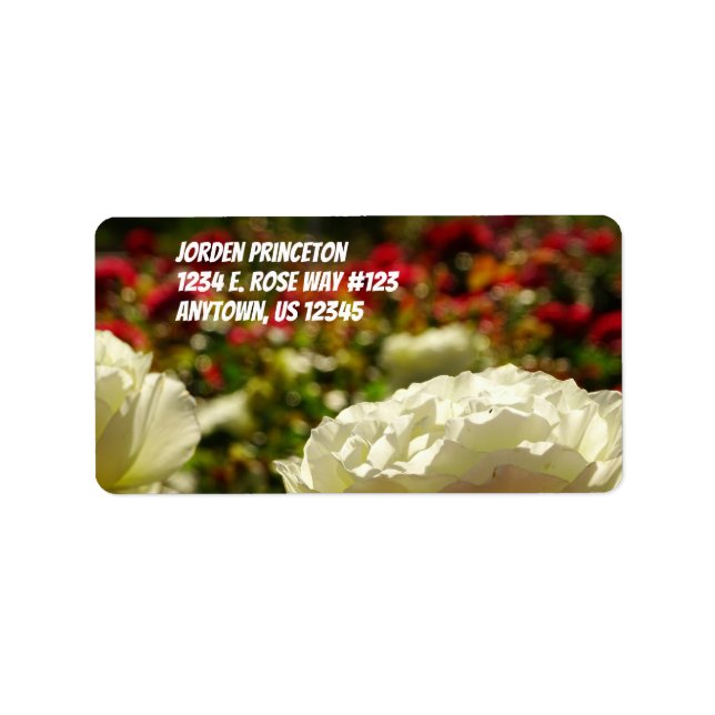 Etiqueta Rosas Em Um Jardim / Branco E Vermelho / (Frente)