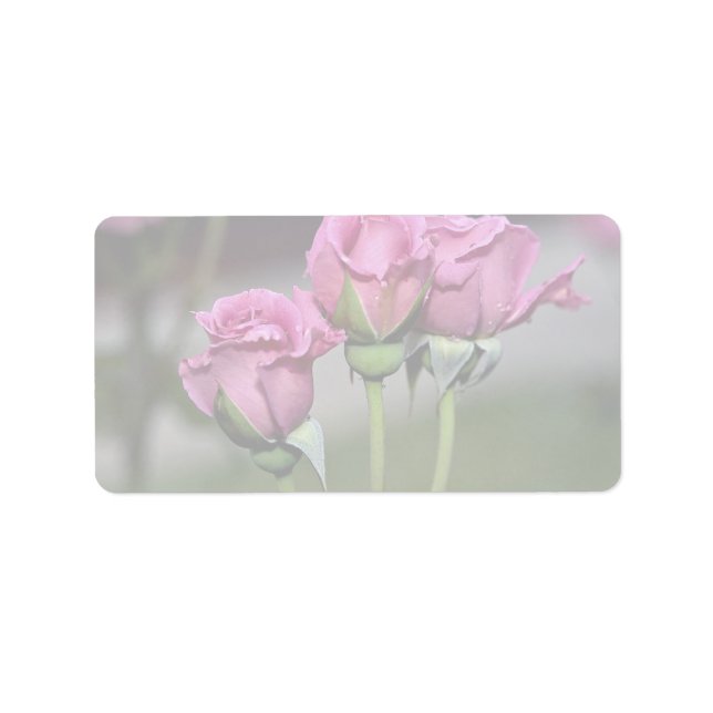 Etiqueta Rosas Floribunda 'Angel Face' (Frente)