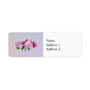 Etiqueta Rosas Miniatura Rosa