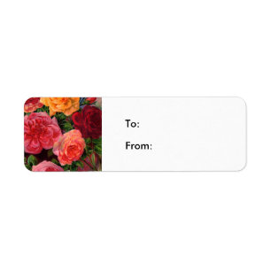 Etiqueta Rosas vibrantes