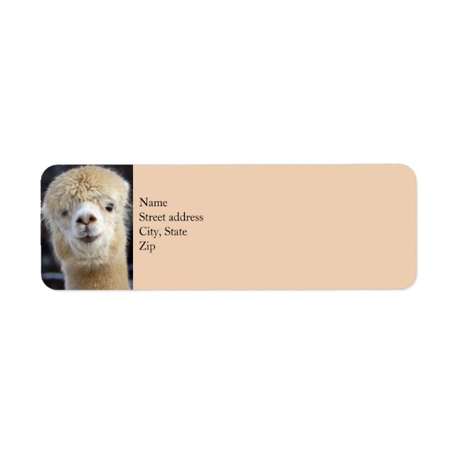 Etiqueta Rosto de alpaca fofo (Frente)