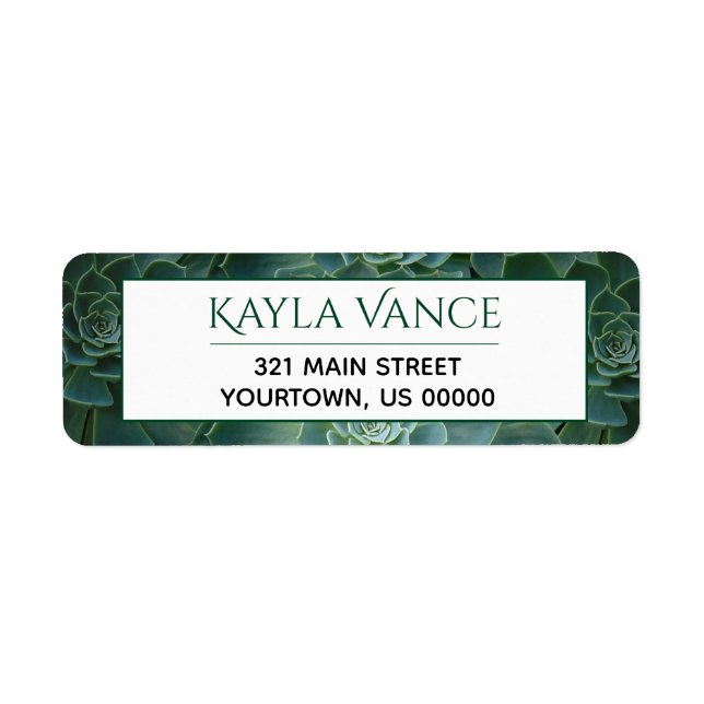 Etiqueta Rótulo Botânico da Planta Tropical do Deserto Sucu (Frente)