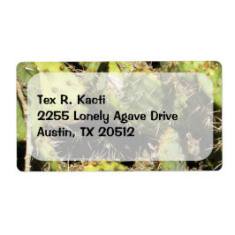 Etiqueta Rótulo Cactus