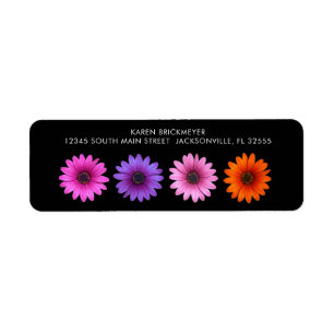 Etiqueta Rótulo Colorido de Regresso Gerber Daisy