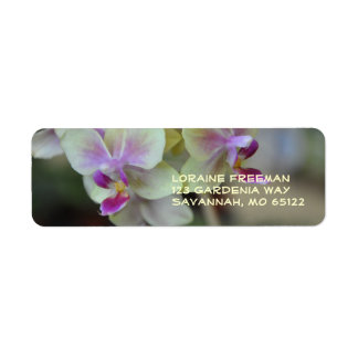 Etiqueta Rótulo Creme e PInk Orchid