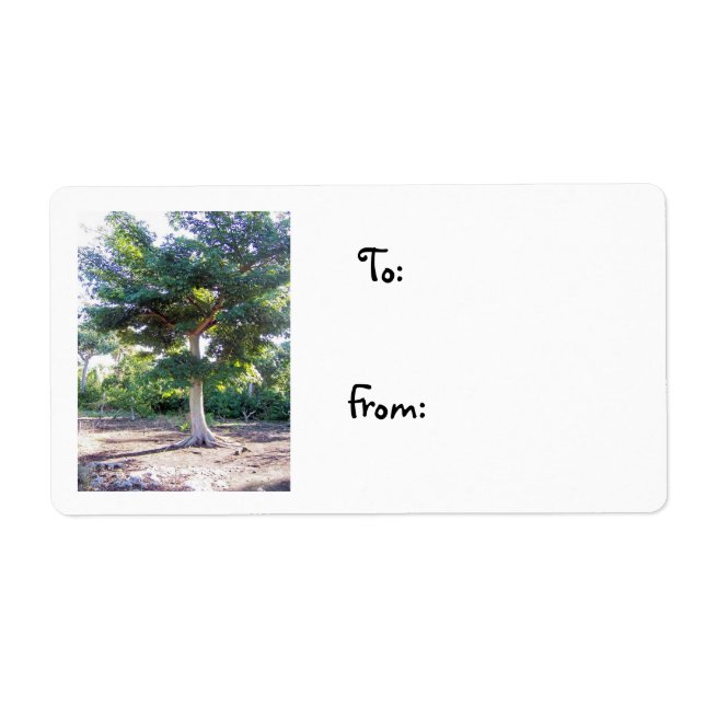 Etiqueta Rótulo da árvore de sabedoria-natal (Frente)