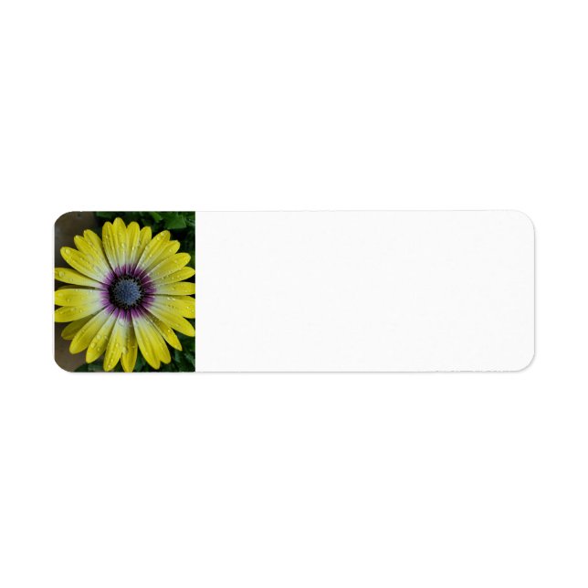 Etiqueta Rótulo da flor amarela (Frente)
