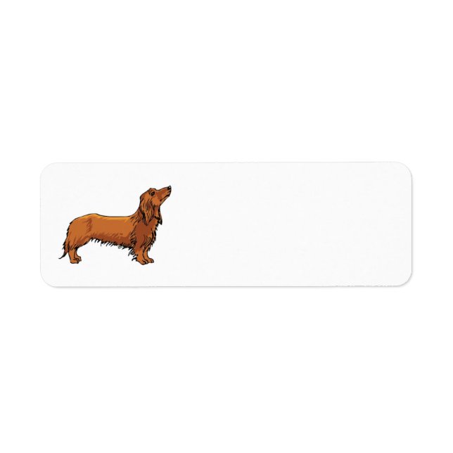 Etiqueta Rótulo de Endereço Dachshund (Frente)